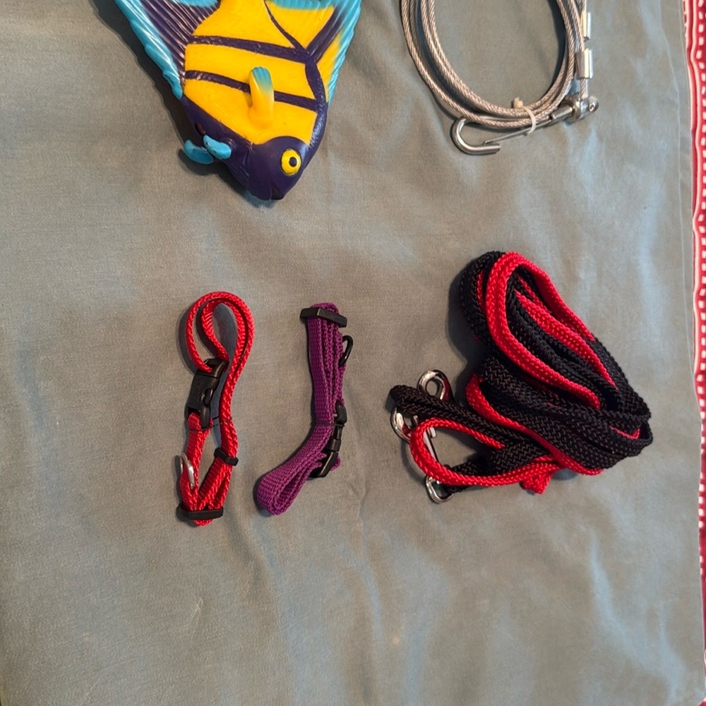 Dog, Collars, Leashes, Tie Out, & Toy